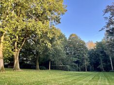 Forest View in Waasmunster
