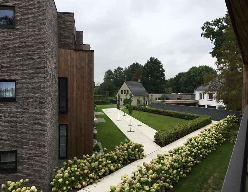 Alegria in Sint-Niklaas