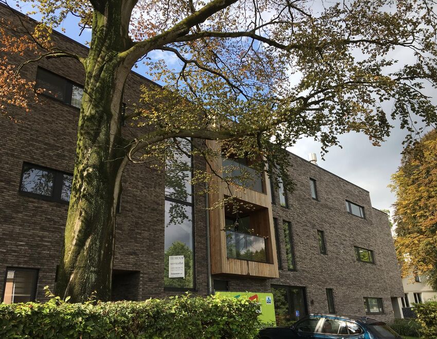 Alegria in Sint-Niklaas