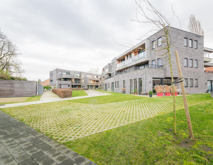 Alegria in Sint-Niklaas