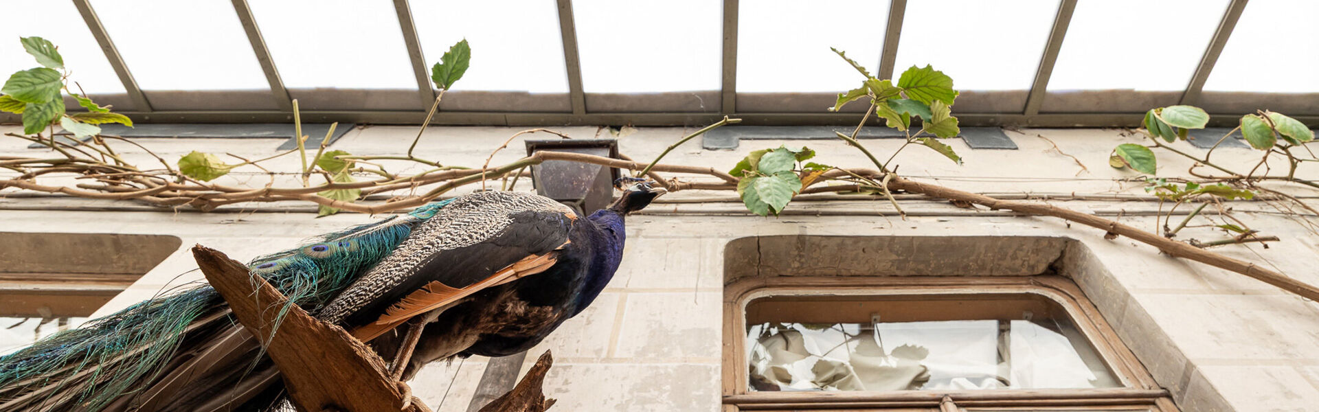 Herenhuis te koop in Sint-Niklaas