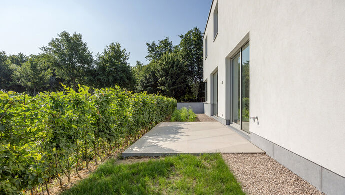 Huis te koop in Waasmunster