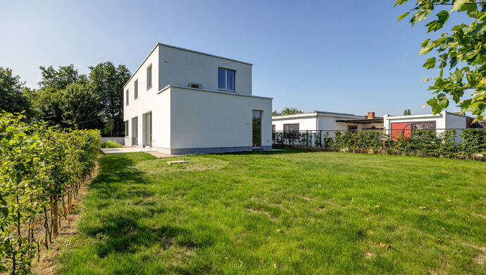 Huis te koop in Waasmunster